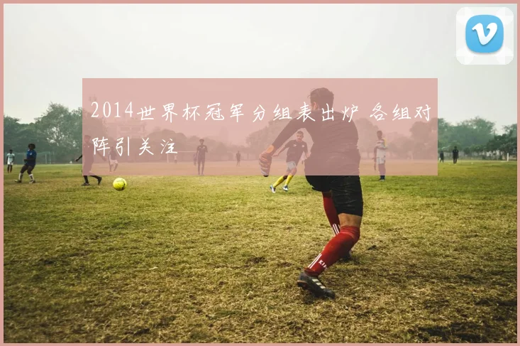 2014世界杯冠军分组表出炉 各组对阵引关注